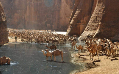 حقيقة صور محمية وادي الجمال في مصر