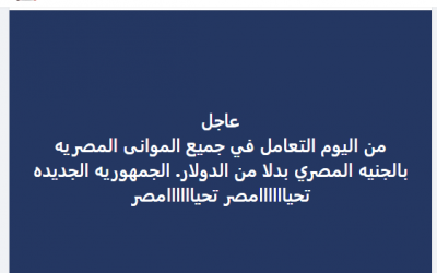 لم يصدر قرار بالتعامل داخل الموانئ المصرية بالجنيه بدل من الدولار