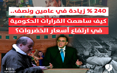 240 % زيادة في عامين ونصف..  كيف ساهمت قرارات الحكومة في ارتفاع أسعار الخضروات؟