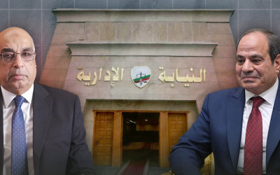 دفعات النيابة الإدارية الجديدة.. "40% من العائلات القضائية و15% من الشرطة والجيش"